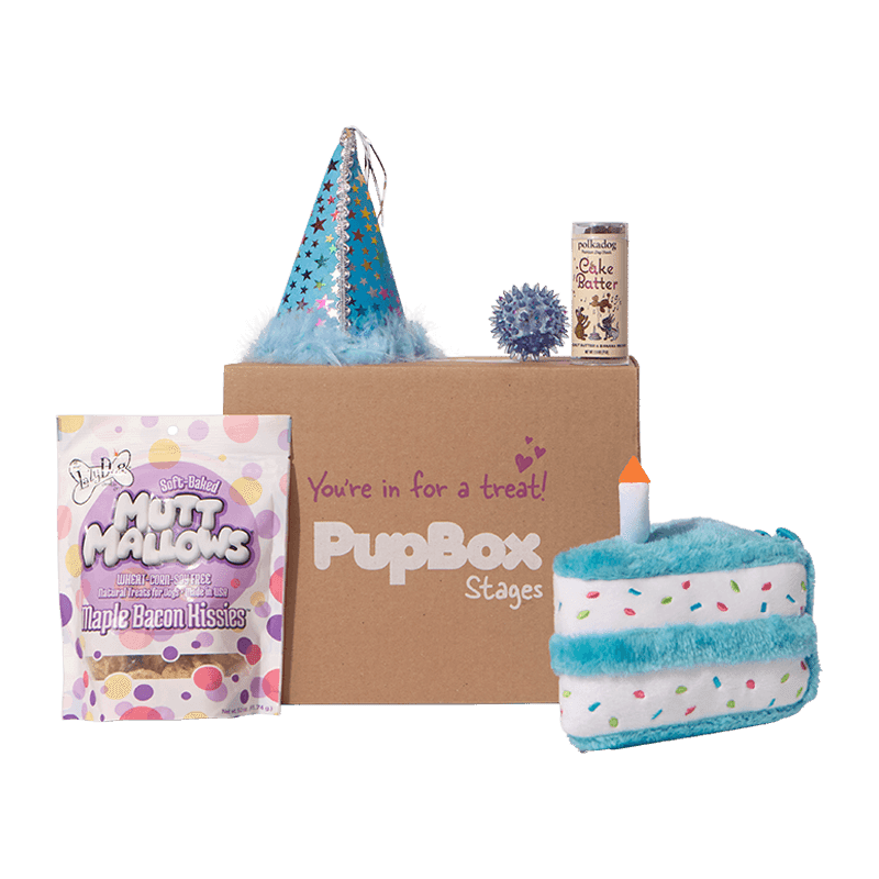 Birthday Box - L/XL