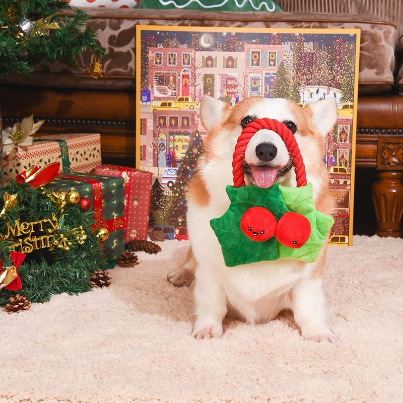 Christmas Berry Rope Dog Toy