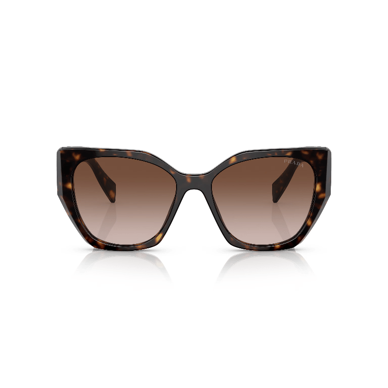 Tortoise Brown Gradient Sunglasses