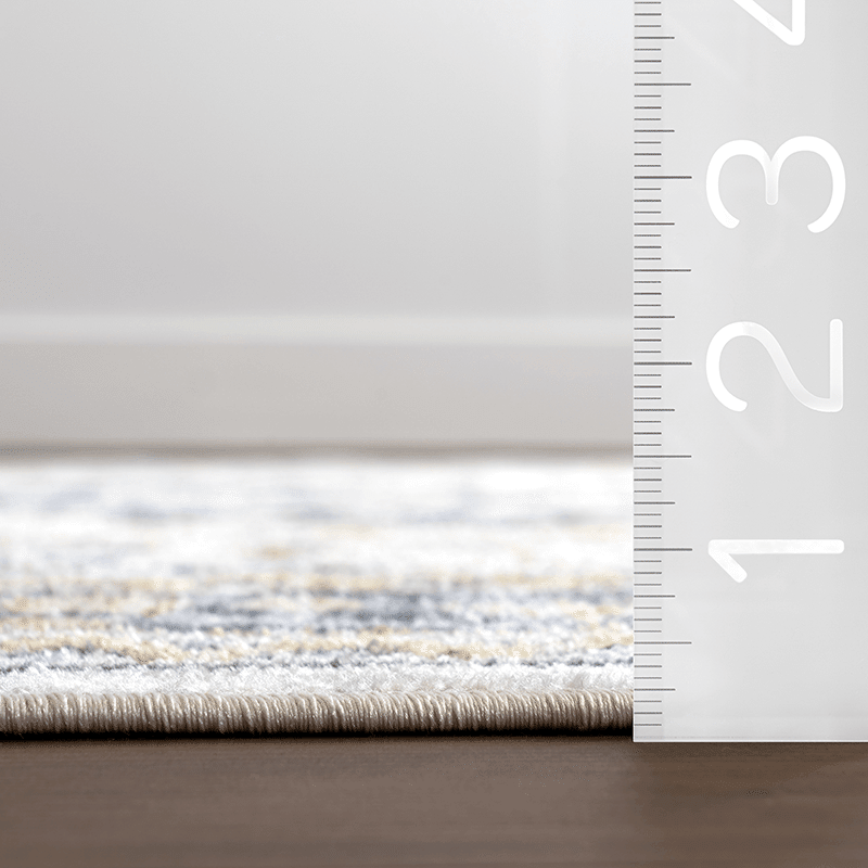 Bonia Traditional Medallion Machine Washable Area Rug