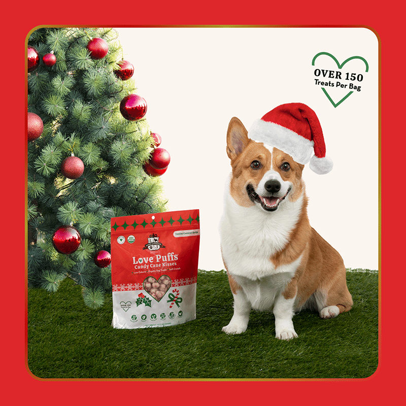 Candy Cane Kisses Love Puffs Dog Treats