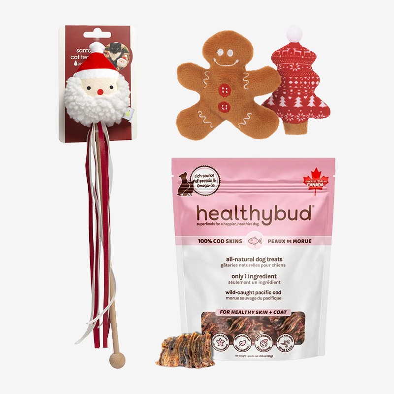 Feline Festive Treat & Plush Bundle