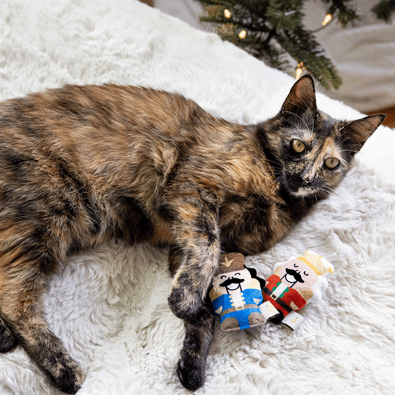 Nutcrackers Cat Toy Set