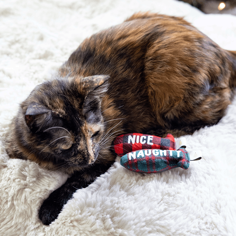 Naughty and Nice Cat Toy Set