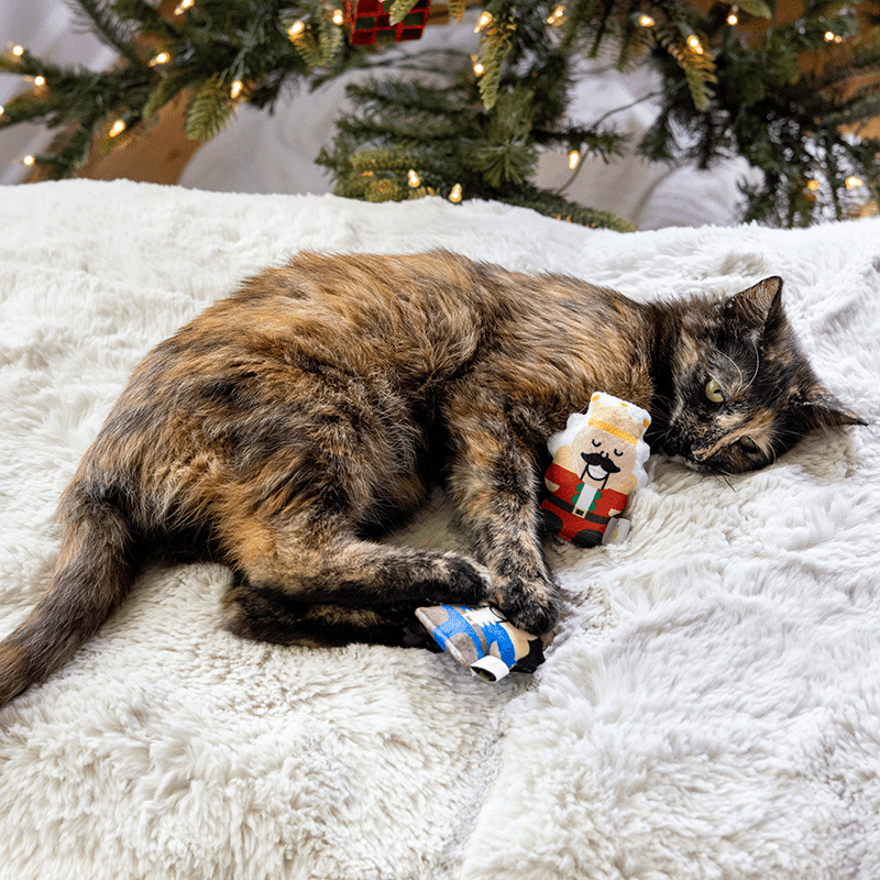 Nutcrackers Cat Toy Set