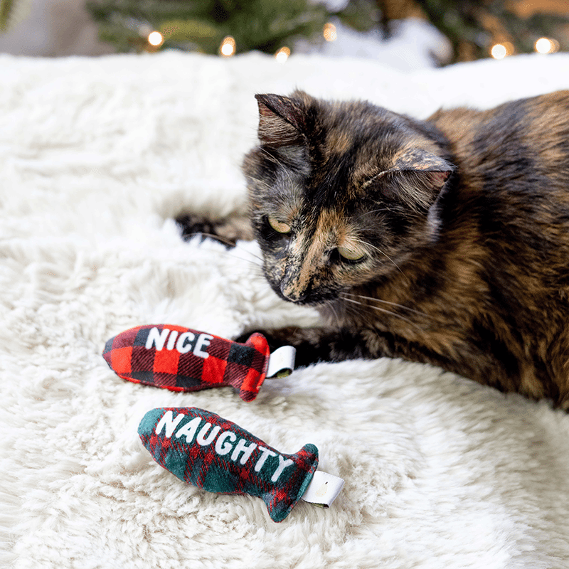 Naughty and Nice Cat Toy Set