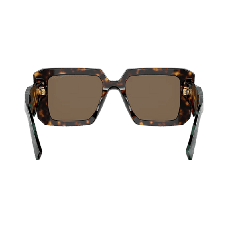 Eclipse Oversized Sunglasses