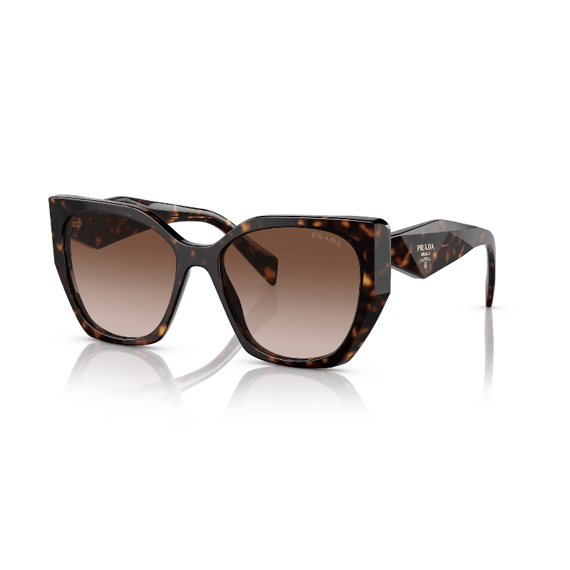 Tortoise Brown Gradient Sunglasses