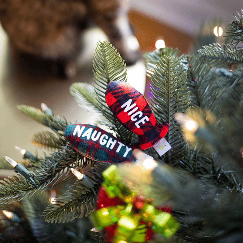 Naughty and Nice Cat Toy Set