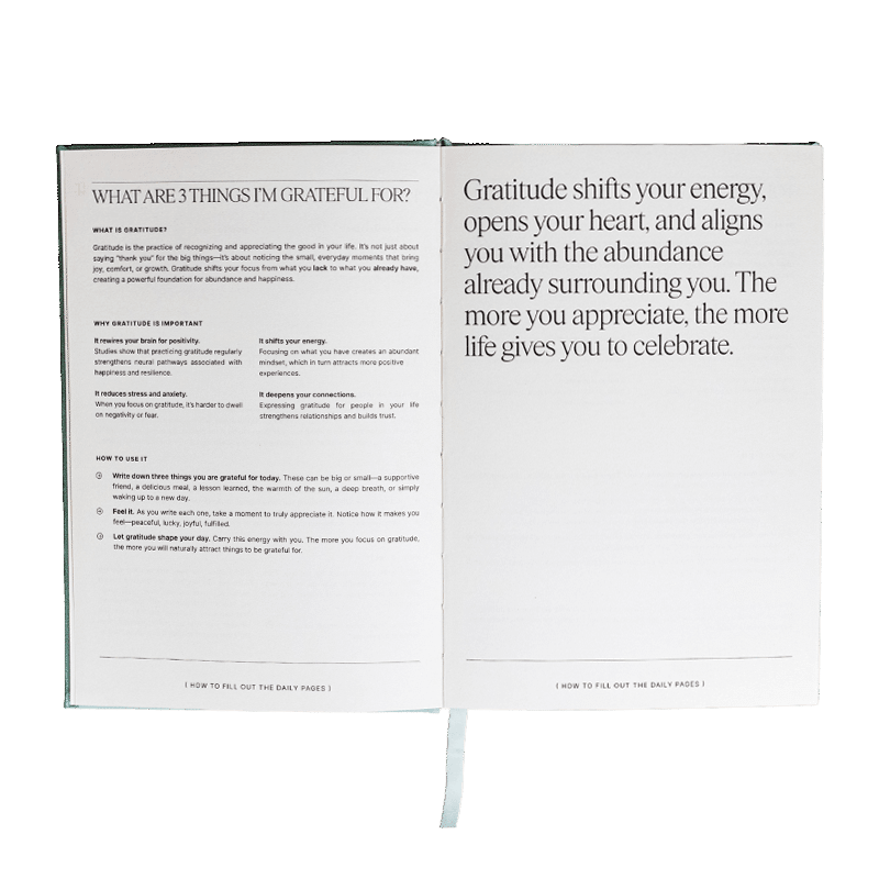 Dream Your Life Journal