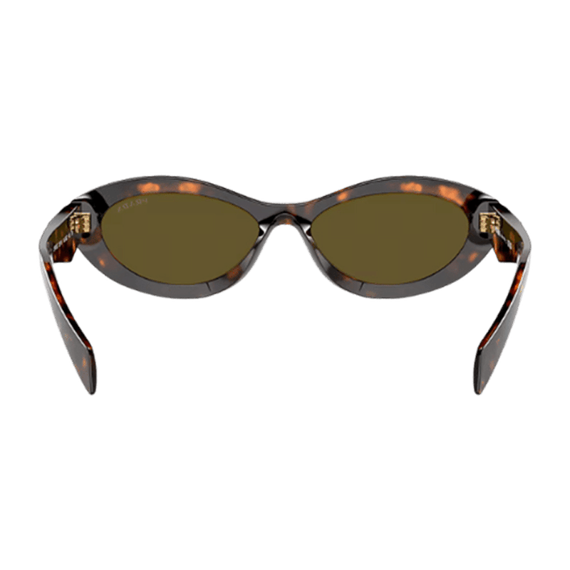 Honey Tortoise Sunglasses