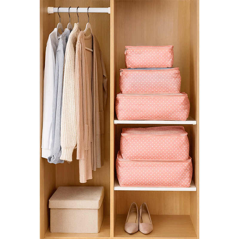 9 Piece Clothes Storage Bags