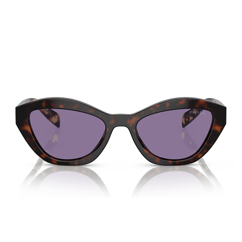 Violet Shadow Sunglasses