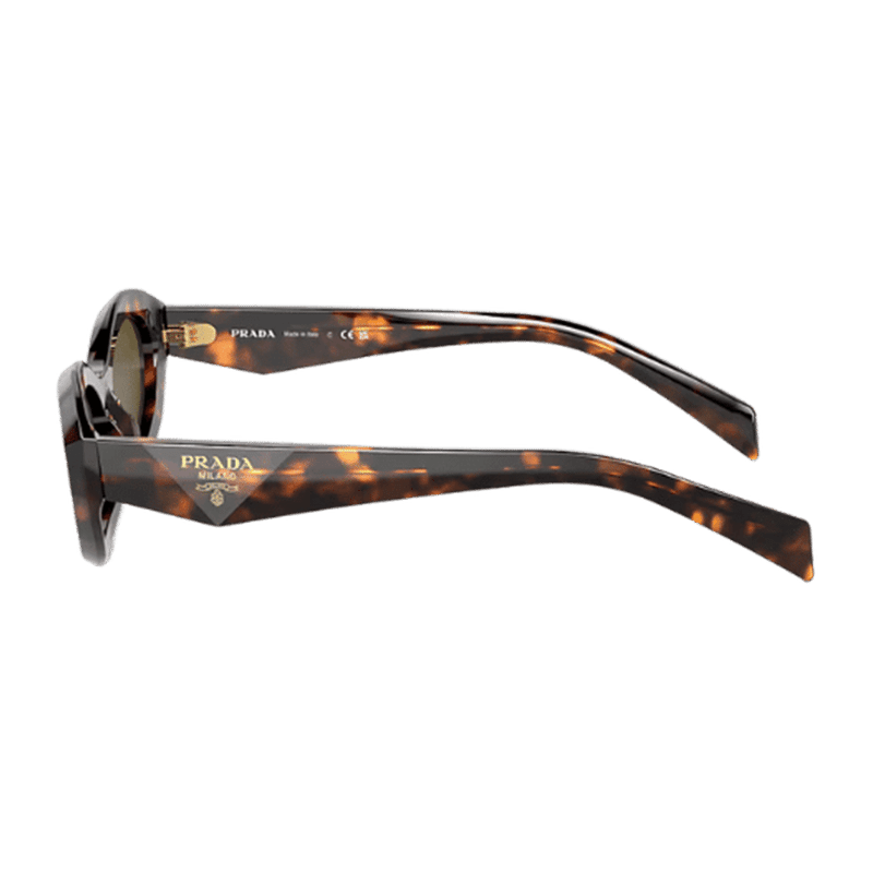 Honey Tortoise Sunglasses