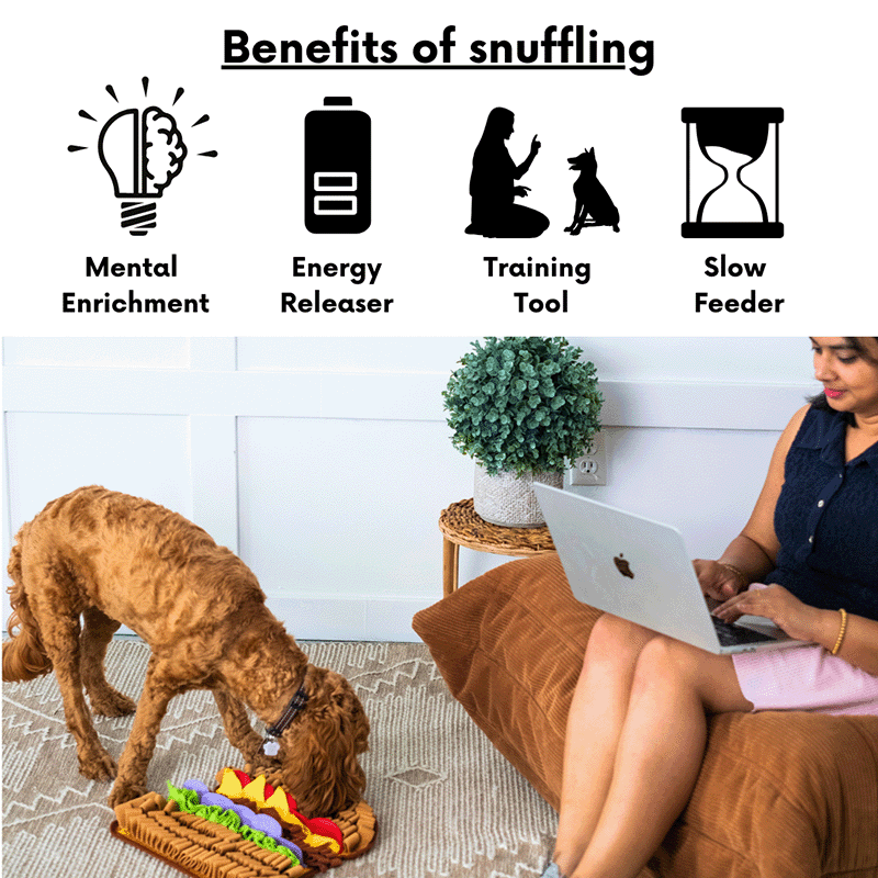 Juicy Hamburger Snuffle Mat