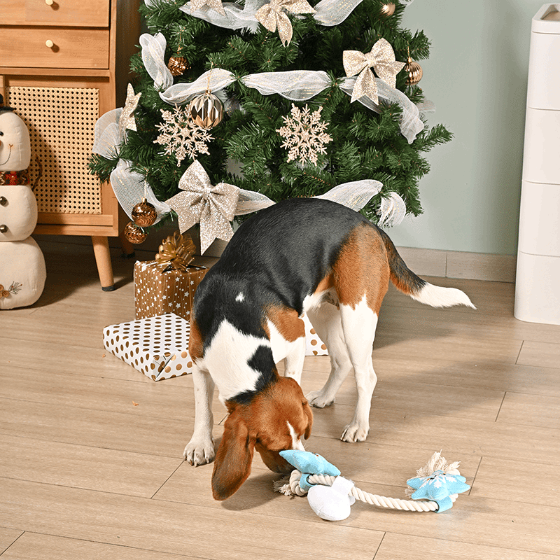 Snowman Season Rope Rope Dog Toy