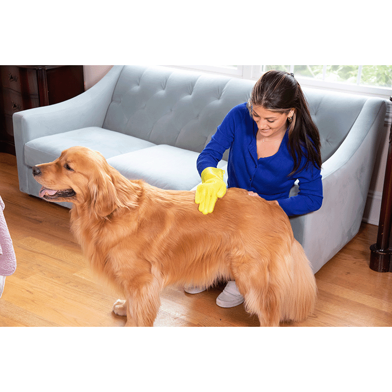 Pet Grooming Glove Duo