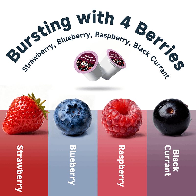 Hibiscus Berry Tea K Cup Quartet (24 Pack)