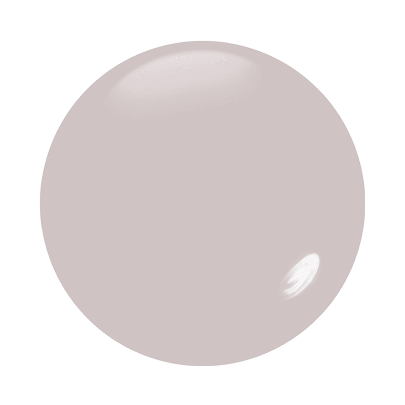 Pure Colour 21x Nail Lacquer in Blustery Day