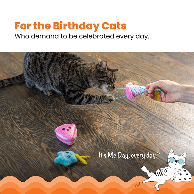 Happy Purrthday Birthday Themed Plush Catnip Blend Cat Toys, 3 pack