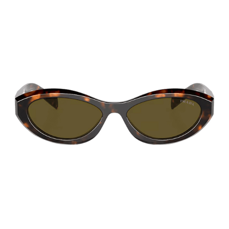 Honey Tortoise Sunglasses