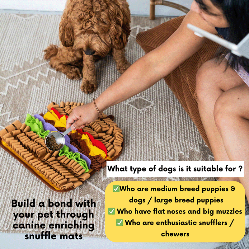 Juicy Hamburger Snuffle Mat