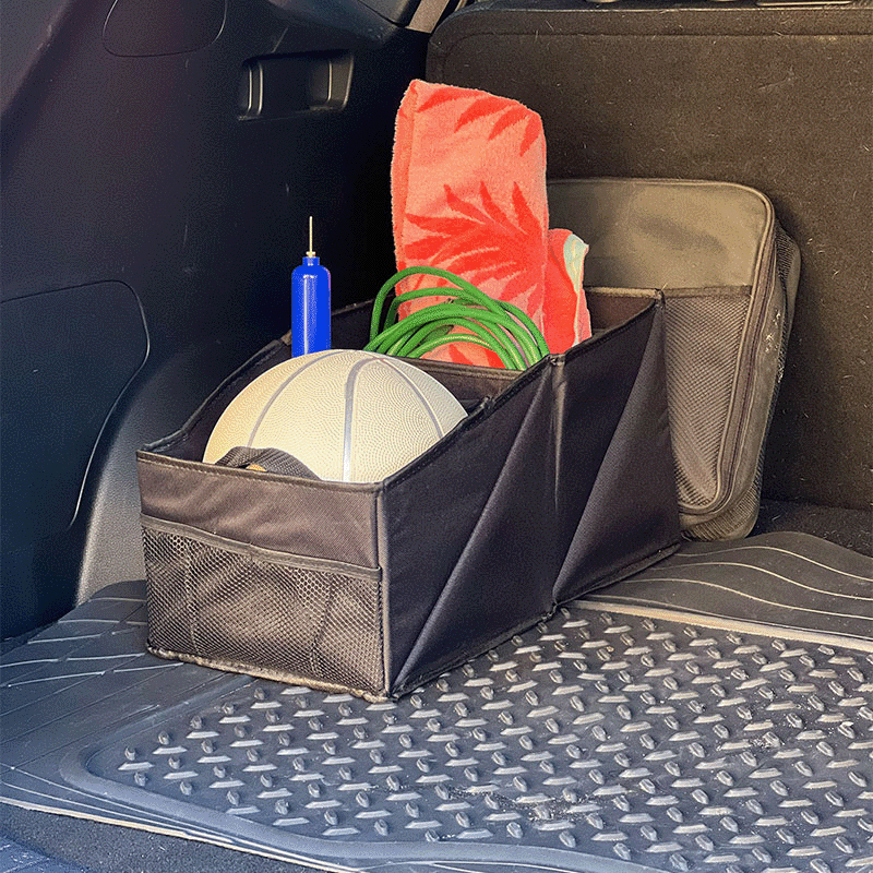 Backseat Dual Pocket Car Organzier