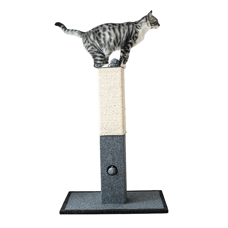 32" Minimalist Cat Scratching Post