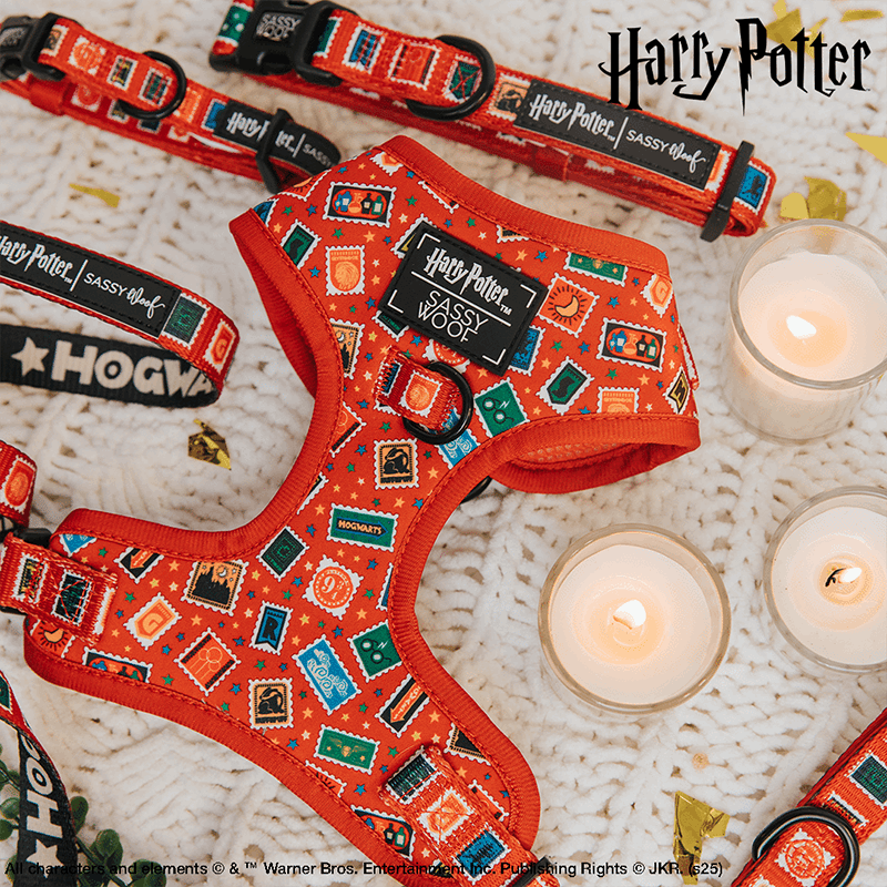 Harry Potter Adjustable Dog Harness