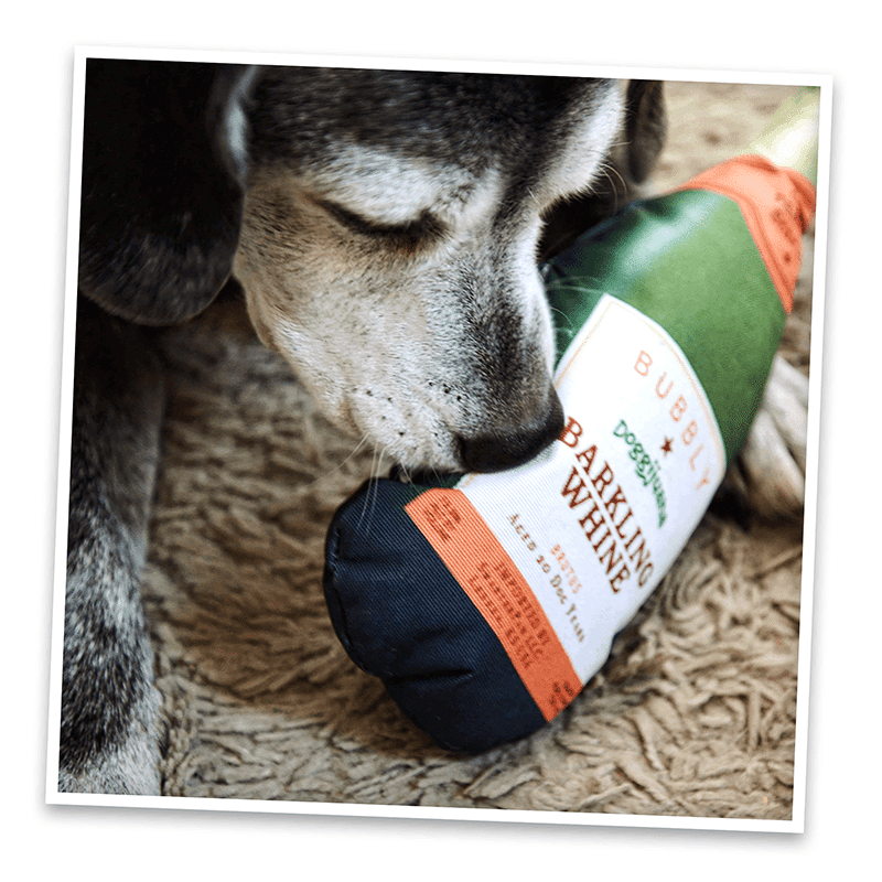 Pawty Champagne 