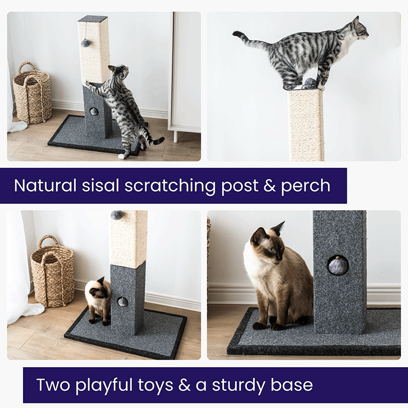 32" Minimalist Cat Scratching Post