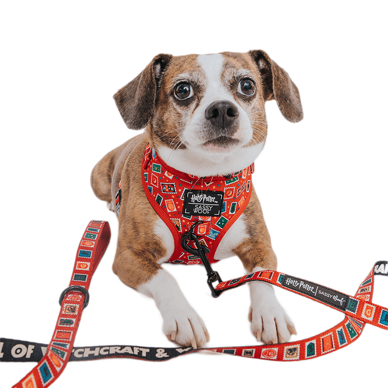 Harry Potter Adjustable Dog Harness