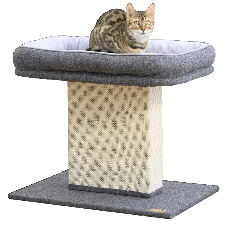 Mellow Cat Perch