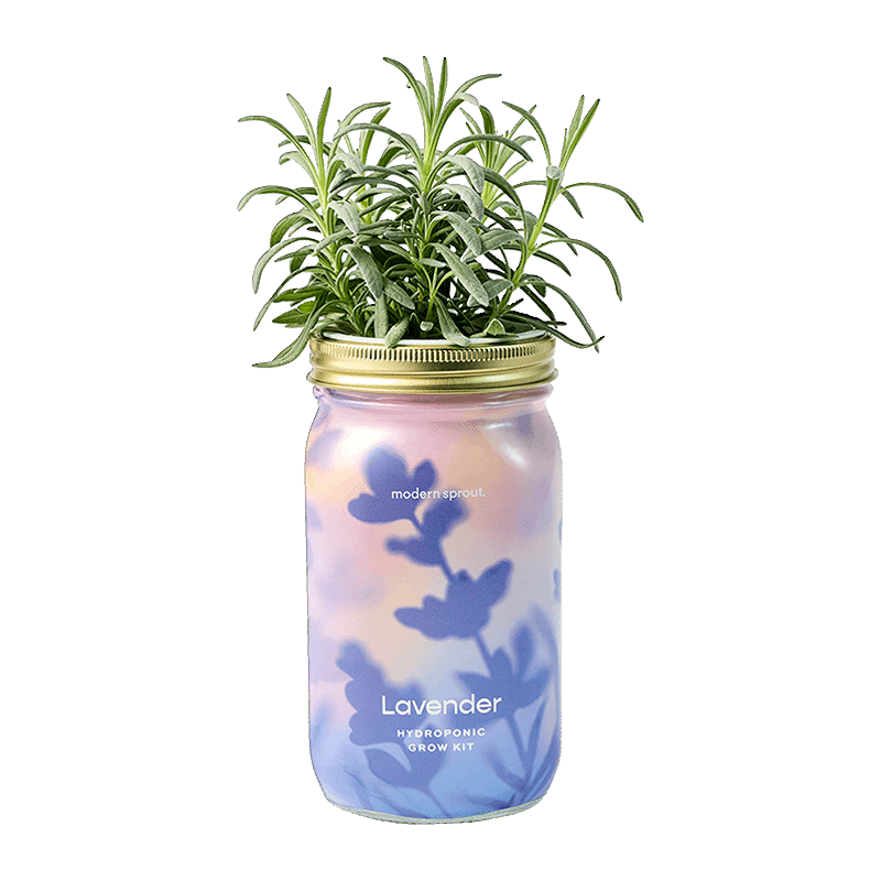 Garden Jar Grow Kit - Lavender