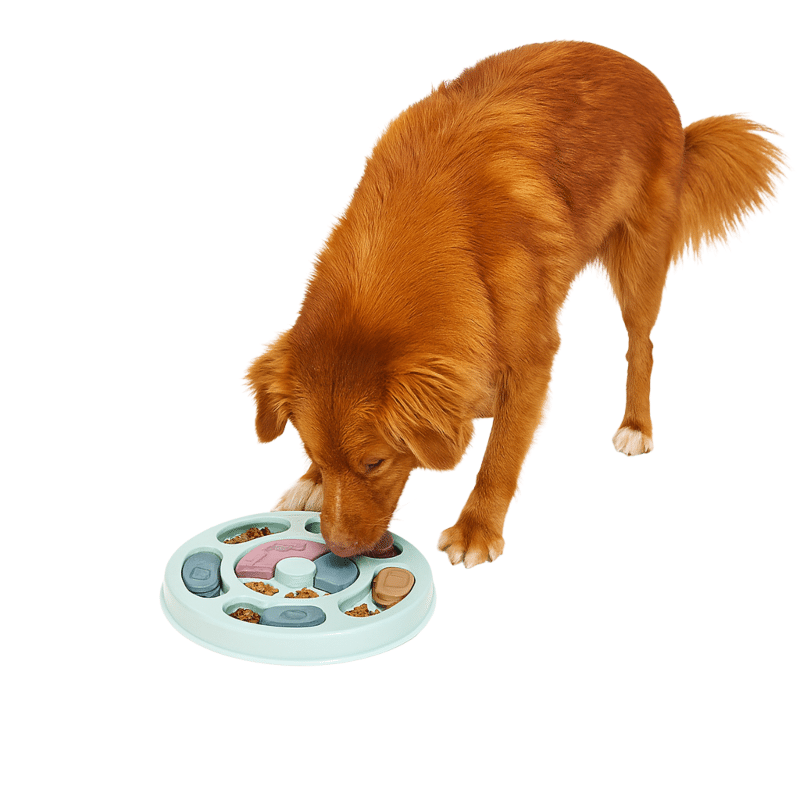 Pet Puzzle Feeder