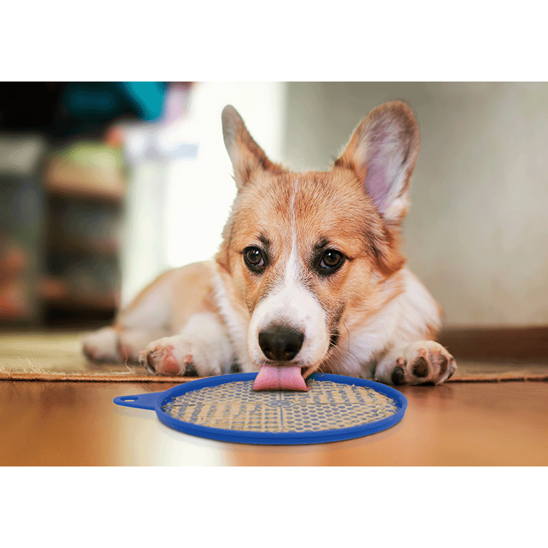 Lick Pad with Carabiner (2 Pack)