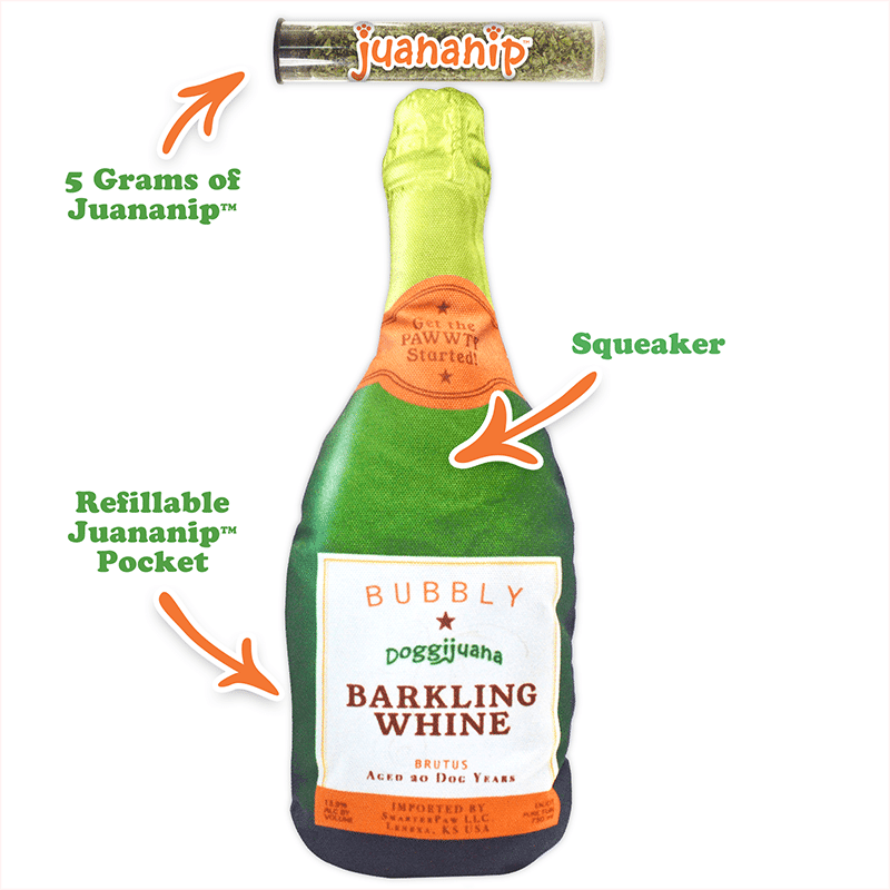 Pawty Champagne 