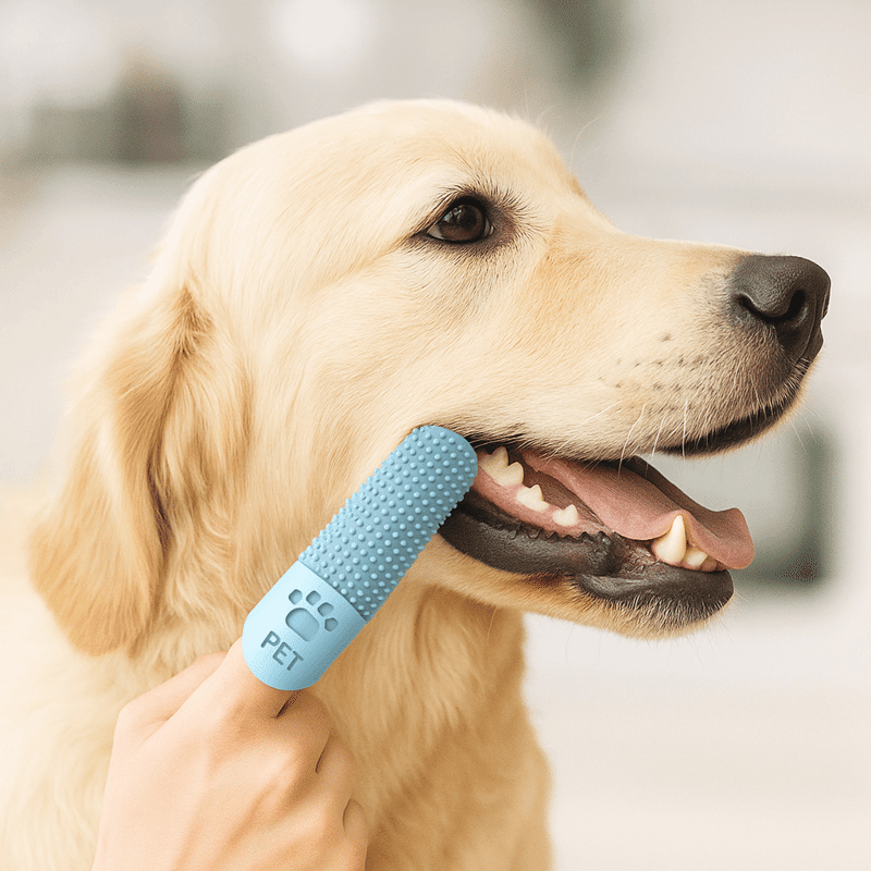 Easy Use Silicone Dog Toothbrush (2 Pack)