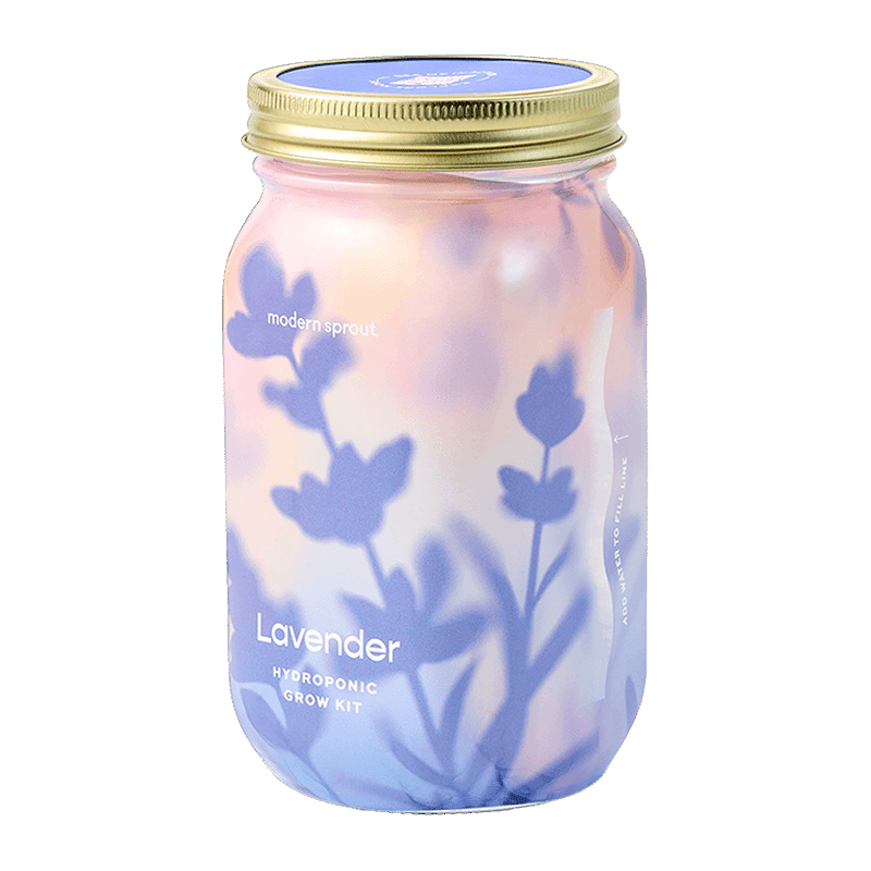 Garden Jar Grow Kit - Lavender