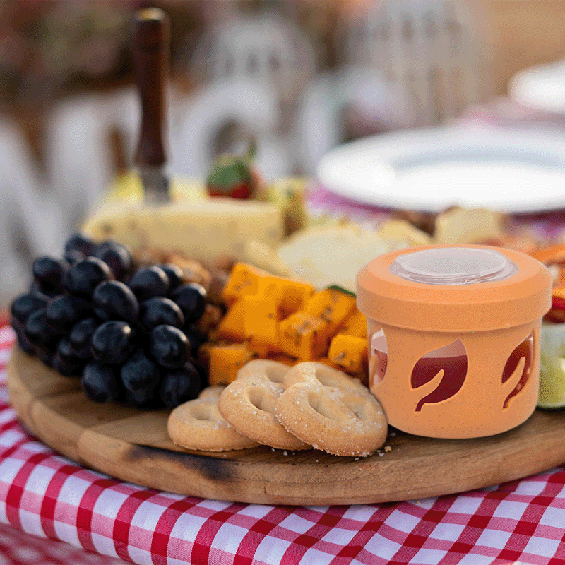 Condiment Container Set