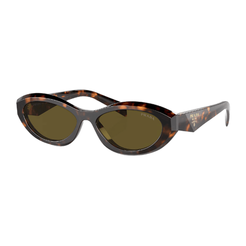 Honey Tortoise Sunglasses