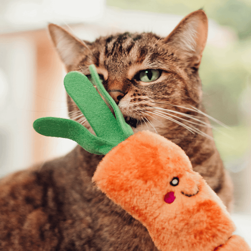ZippyClaws Kickerz - Carrot Cat Toy