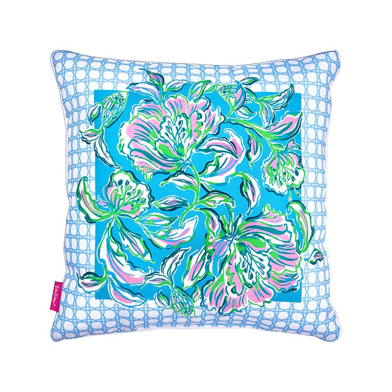 Large Pillow, Chick Magnet