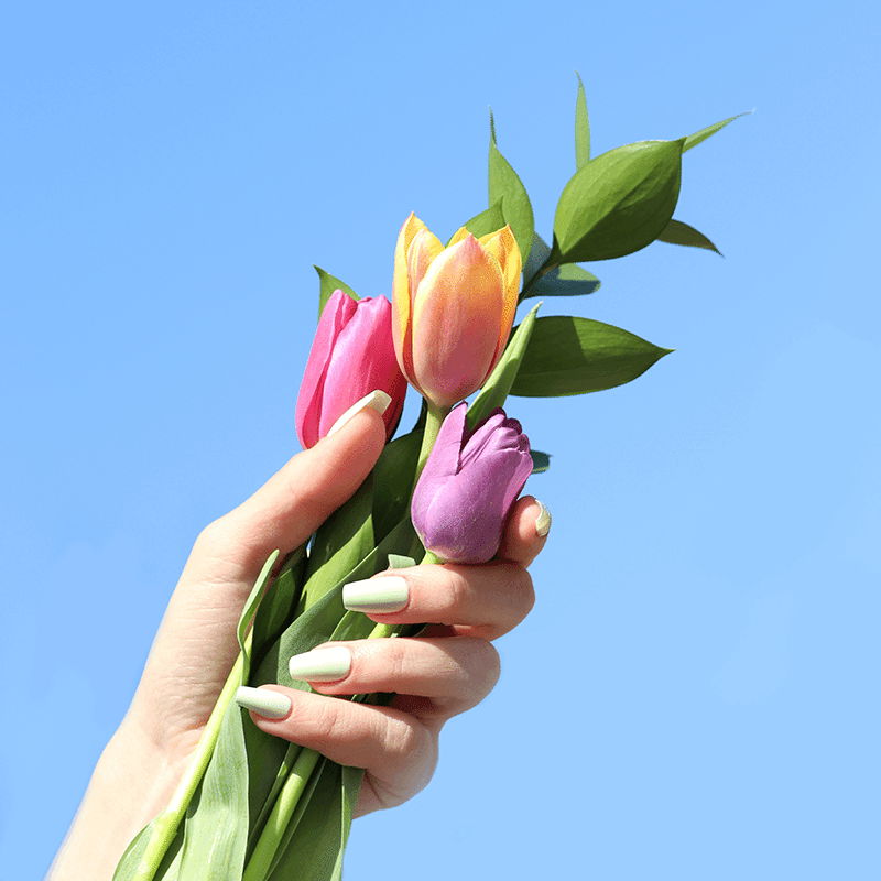 Spring Fling Lakur Set