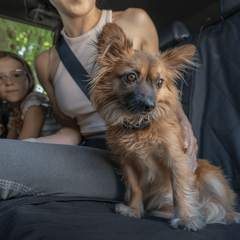Pet Car Seat Protector - Truck + Large SUV
