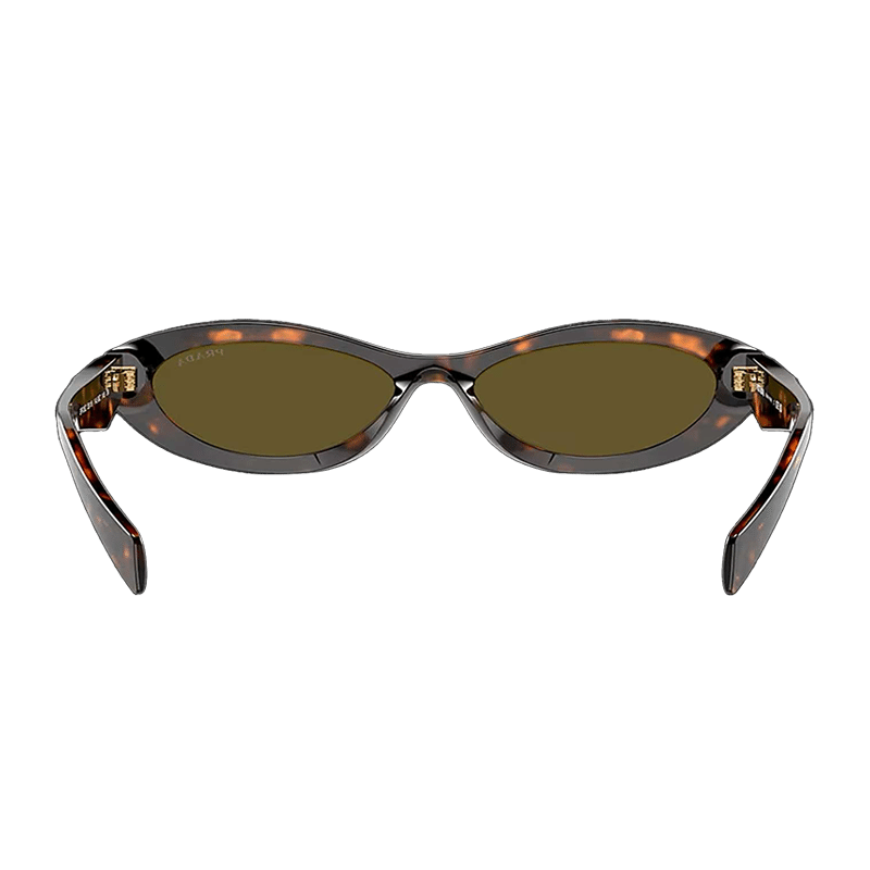 Honey Tortoise Sunglasses
