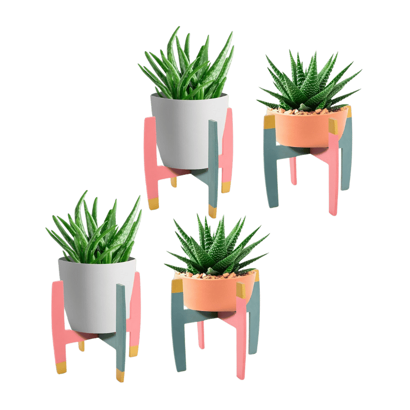 Reversible Plant Stand (4 Pack)