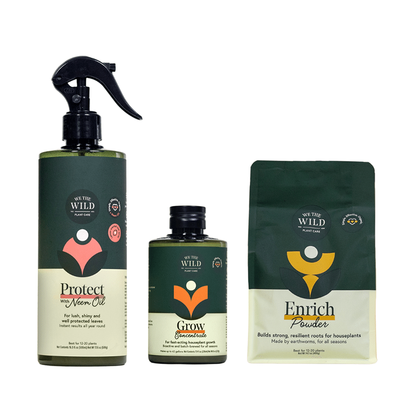 Houseplant Care Essentials Kit