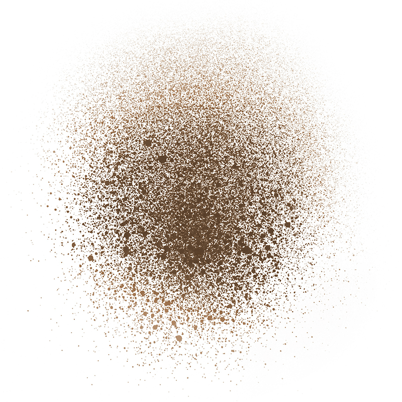 Brunette Breeze Tinted Dry Shampoo