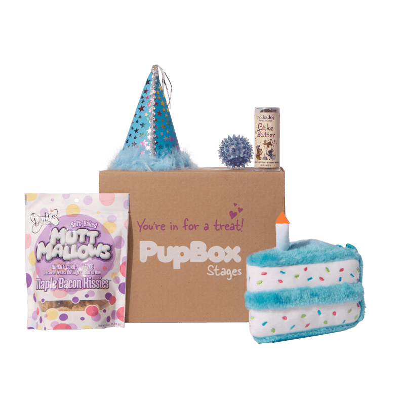 Birthday Boy Box - L/XL